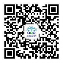 廠家直銷 皺褶式星形濾袋 褶皺濾袋 星形袋籠 波形濾袋 品質批發